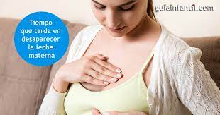 El Tiempo Que Tarda En Desaparecer La Leche Materna Del Pecho De La Mujer