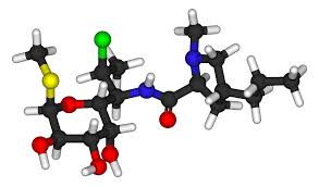 Image result for Clindamycin