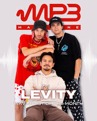 Discover Levity: The Bass Trio That's Taking the Electronic Scene by Storm  : r/electronicmusic