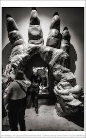 2017 Venezia 57 Esposizione Internazionale D Arte Performer Pauline Curnier Jardin Exhibition Art