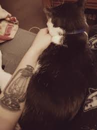 Cat And Tat Plastic Water Bottle Water Bottle Voss Bottle