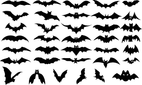 Bat Silhouette Bad Bat Dark Dracula Evil Flight Fly Gothic Halloween Horror Mammal Monster Scary Bat Silhouette Halloween Vector Halloween Design