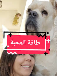 طاقة المحبة للمخلوقات الأليفة