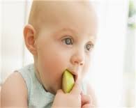 9 12 ay bebek beslenmesi doktor annem