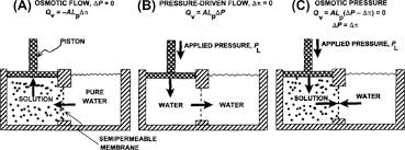 Osmosis is the movement of solvent particles across a semipermeable membrane from a dilute solution into a concentrated solution. Osmosis An Overview Sciencedirect Topics