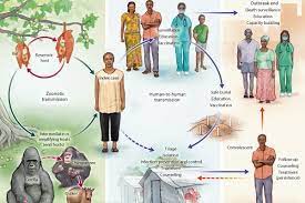 We did not find results for: Nejm Ebola Virus