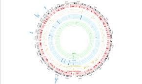 When should i call the doctor about prostate cancer? Genomic Landscape Of Prostate Cancer Green Bars Represent Genes With Download Scientific Diagram