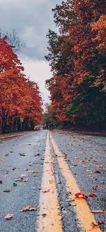Fall Wallpapers For Iphone Free Download Best Autumn Wallpapers Fallbackgrounds Are You Iphone Wallpaper Fall Fall Background Wallpaper Cute Fall Wallpaper