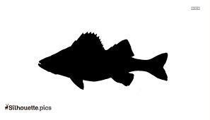 Download Yellow Perch Fish Silhouette Clipart Silhouette Pics