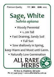 Save up to 60% off. Sage White Seed All Rare Herbs