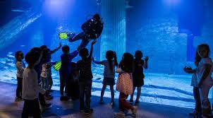 Izmir In Okyanusu Funtastic Aquarium Sizi Bekliyor