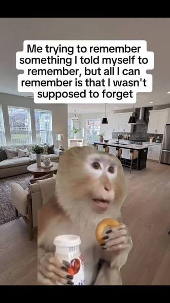 #meme #viral #viralvideos #funnymemes