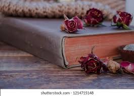 Check spelling or type a new query. Old Book Dry Flowers Warm Knitted Stock Photo Edit Now 1214715148