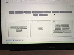 Check spelling or type a new query. Mastering Biology Cell Structure 4 3 4 7 Flashcards Quizlet