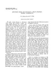 Image result for Urochloa semiundulata