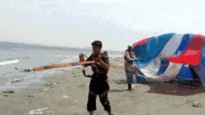 This Guy Who Ll Never Go Parasailing Again Funny Gif Funny Cartoon Pictures Beach Memes