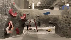 Bite Off More Than You Can Chew Gif Https Encrypted Tbn0 Gstatic Com Images Q Tbn 3aand9gcqy43s3napmdr2dgn7afv Er3aukhntcg6una Usqp Cau