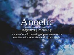 Check spelling or type a new query. 51 Kingdom Names Ideas Uncommon Words Weird Words Unusual Words