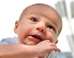 Wilts and Glos Standard