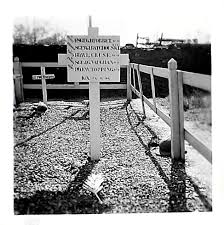 George Dudgeon Torbet