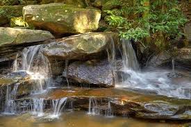 You'll find brush turkeys wandering around the car park, where there are picnic tables and detailed signs about the waterfalls and short walking tracks at somersby falls. Somersby Has Dozens Of Small Falls Picture Of Somersby Falls Picnic Grounds Gosford Tripadvisor