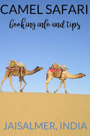 Riding a camel really isn't as hard as they say it is. Camel Safari In Jaisalmer The Ultimate Checklist Hippie In Heels