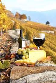 pin on wonderful world of wine
