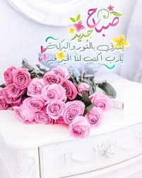 Q9nkapzi6cx8dm