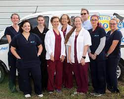 People leading busy working lifestyles or simply unable to transport their pet to the vet, derive great value from having the vet come to their home when it suits. Welcome To Mobile Vet To Pet Veterinary House Call Services In Lake County Fl