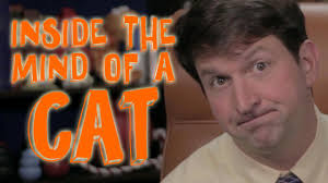 CIAMDavis (@CIAMDavis)