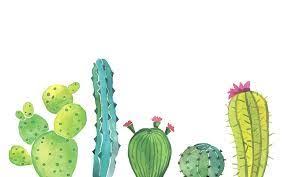 I Love Cacti And I Thought This Would Be Useful To You Guys Cute Desktop Wallpaper Wallpaper Notebook Computer Wallpaper Desktop Wallpapers