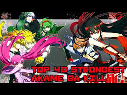 Akame Ga Kill Anime Review • Core Reviews