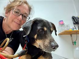 Can I just say, I'm so amazed by your beautiful and kind rescuers. I cannot  take my hat off to you all enough. You're constantly