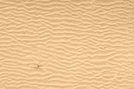 Here you can explore hq beach sand transparent illustrations, icons and clipart with filter setting like size, type, color etc. Sand Texture Free Textures All Design Creative Sand Texture Sand Desert Texture