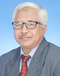 Editorial Team Member