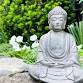 Weekly Drop-in Meditation
