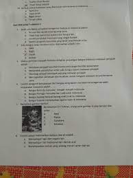 We did not find results for: Salah Satu Faktor Penyebab Keragaman Budaya Di Indonesia Adalah A Berasal Dari Nenek Moyang Yang Brainly Co Id