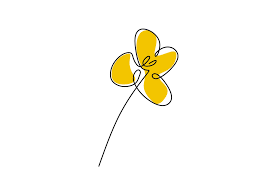 Maybe you would like to learn more about one of these? Belle Fleur De Printemps En Dessin Continu Sur Une Ligne Fleurs De Nanohana Plantes Saisonnieres Au Japon Design Minimaliste Dessine A La Main Fleur De Viol Jaune Concept Floral Botanique Illustration Vectorielle