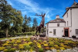 Then they also had nice potted blueberry shubs for around $12.00 many had blossoms on them. The 10 Closest Hotels To Loch Of The Lowes Visitor Centre And Wildlife Reserve Dunkeld Tripadvisor