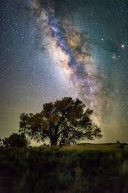 The Milky Way In Hawaii Accompanied By A Tree And A Meteor Oc 1365x2048 Milky Way Nature Photos Beautiful Sky