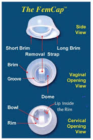 Image result for Cervical Cap