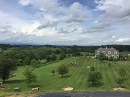 Terry kaye is blue valley vineyard and winery's exclusive events planner and consultant. Washington Zu Besuch In Der Hauptstadt Der Usa Tui Com Reiseblog