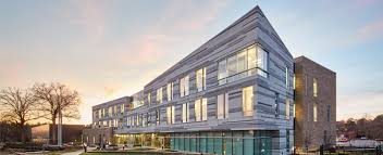 Image result for Erlangea