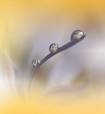 Download beautiful free stock photos to use in all your projects, including commercial work. Free Stock Images Photos By Stockfreeimages Com