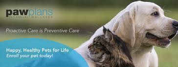 Check spelling or type a new query. Pleasanton Veterinary Hospital ãƒ›ãƒ¼ãƒ  Facebook