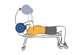 We did not find results for: Ez Bar Skullcrusher Exercises Workouts And Routines