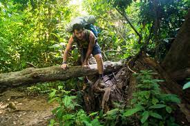 However, this national park is often referred to simply as taman negara. Malaysia S Nature Taman Negara National Park One Sick Dream