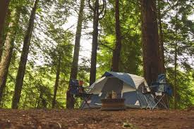 Jedediah smith redwoods state park is the. Why You Need To Explore Jedediah Smith Redwoods State Park