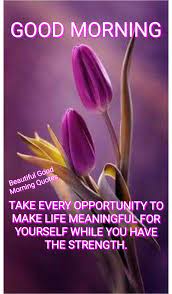 Beautiful Good Morning Quotes | Facebook