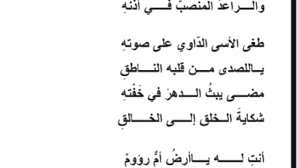 ابيات شعر حلوه وقويه شعر يعطيك امل في الحياة دموع جذابة